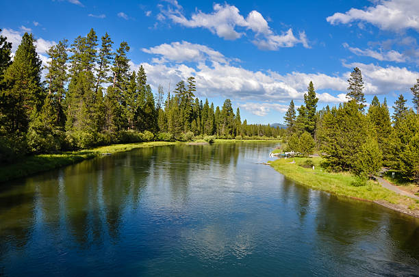 fiume e cielo blu che riflette in acqua - sky blue woods park foto e immagini stock