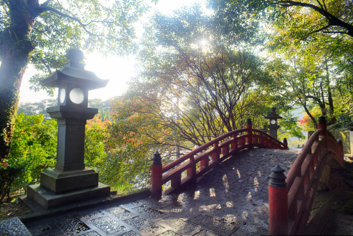 the fall season of Japan in Taiwan