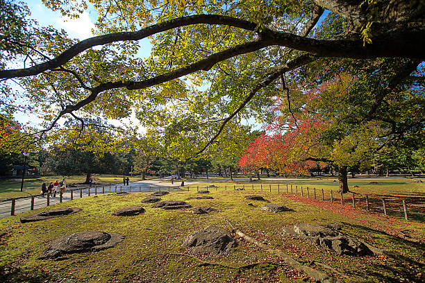 istock the fall season of Japan 460136129