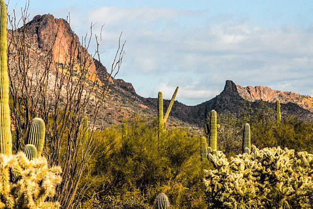 istock Arizona Desert Landscape 460136431