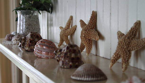 istock Seashells and Starfish on Polished White Mantel 460139139