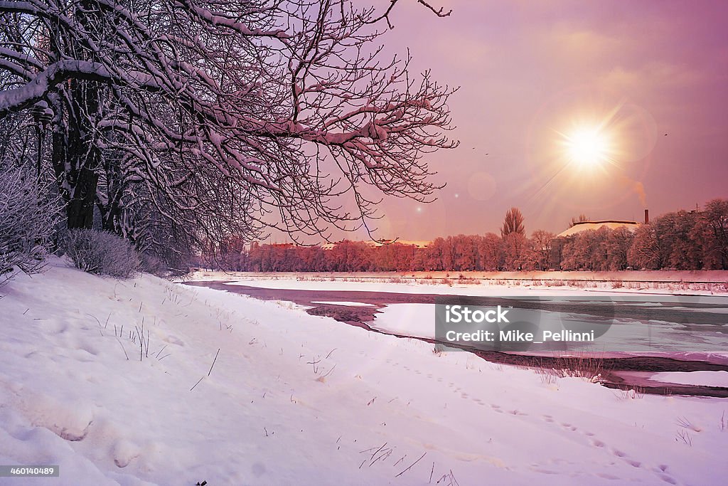 hoarfrost on a winter morning bank of the river with trees covered with rime on a winter morning Dawn Stock Photo