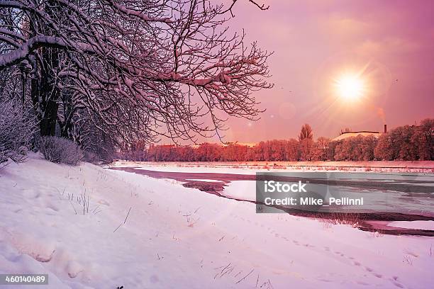 Hoarfrost On A Winter Morning Stock Photo - Download Image Now - Dawn, Fog, Forest