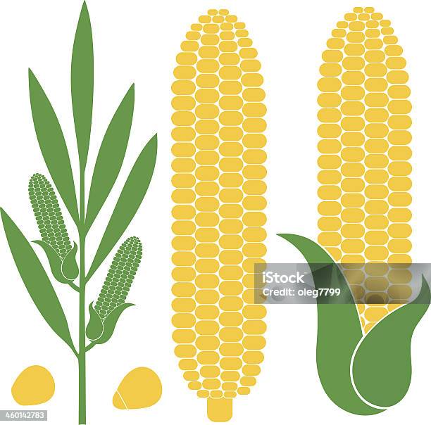 Illustration Of Corn In Different Forms And Figures Stock Illustration - Download Image Now