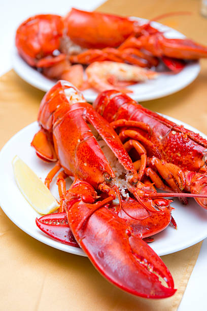 istock Big fresh lobster in the white plate fot dinner 460156211