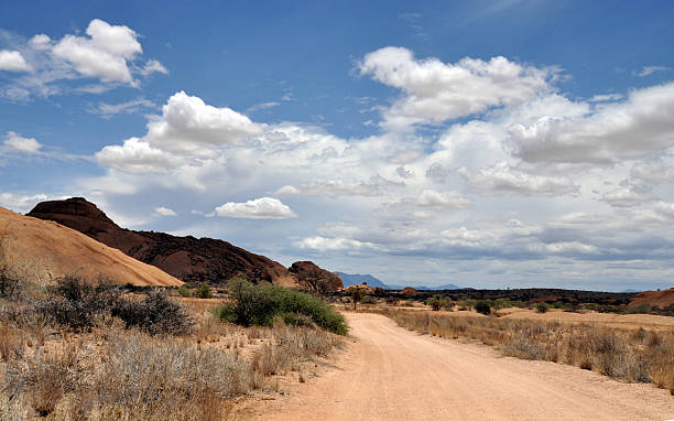 istock Road in Namib Desert 460158355