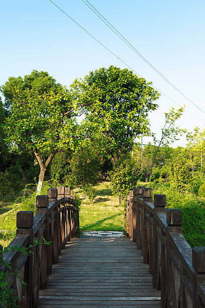 istock Chinese architecture, lakeside Landscape Bridge 460159009