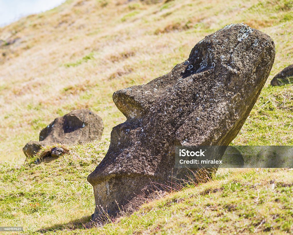 Moai on Rano Raraku Slope, Easter Island, Chile Rano Raraku is a volcanic crater formed of consolidated volcanic ash, or tuff, and located on the lower slopes of Terevaka in the Rapa Nui National Park on Easter Island. It was a quarry for about 500 years until the early eighteenth century, and supplied the stone from which about 95% of the island's known monolithic sculptures (moai) were carved. Ancient Civilization Stock Photo