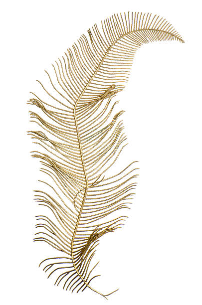 istock Christmas decorative golden leaves 460168671