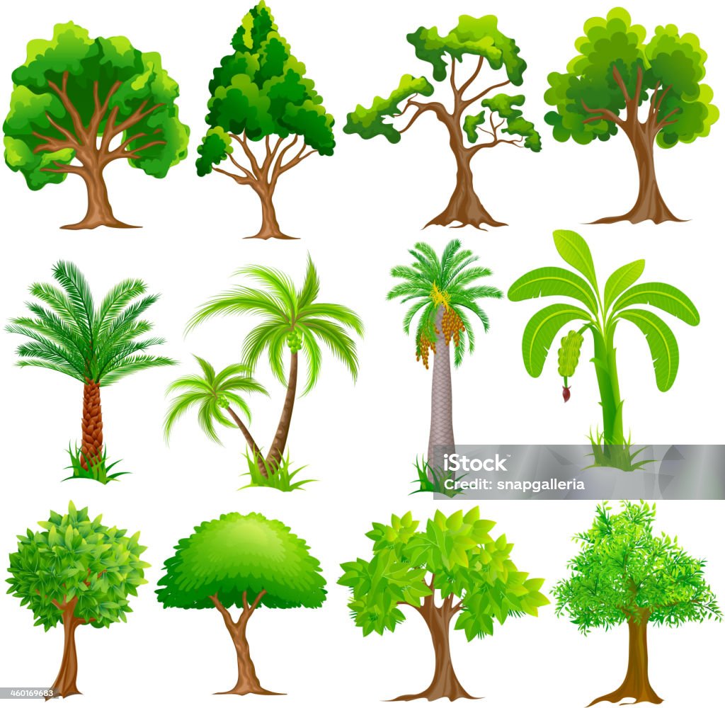 Tree Collection easy to edit vector illustration of Tree Collection Banana Tree stock vector