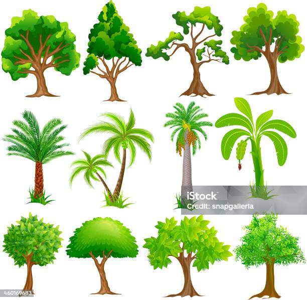 Tree Collection Stock Illustration - Download Image Now - Banana Tree, Environmental Conservation, Green Color