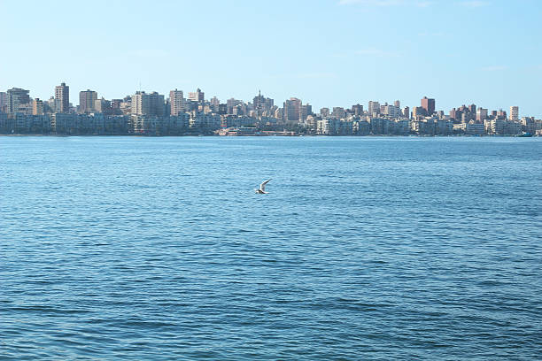 istock Seashore in Alexandria 460205079