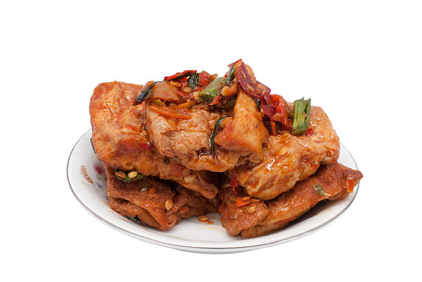 istock plate of fried tofu 460207053