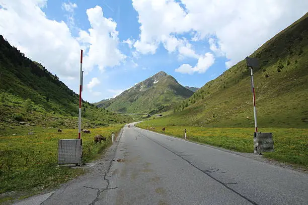 Road in a beautiful Alpine scenery. Small rivers with pure water, cows and horses are part of the landscape during summer season. This area is close to the Alpine tree line. Kühtai and Sellrain are famous excursion destinations for tourism in Tyrol, Austria.
