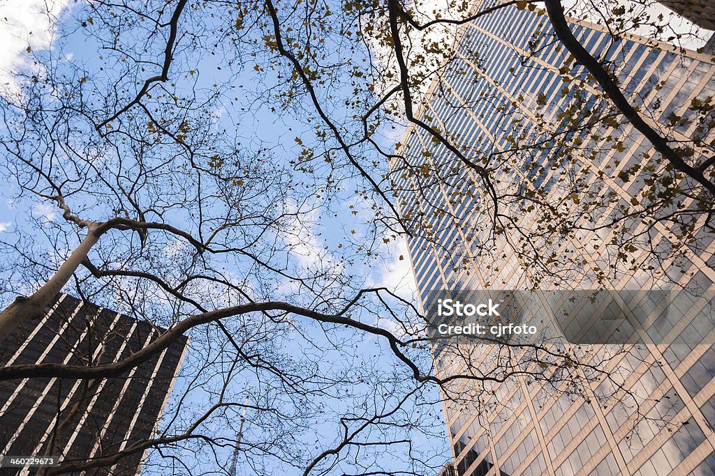 New York Cityscape New York Cityscape with trees in the foreground against a colrful blue sky Architecture Stock Photo