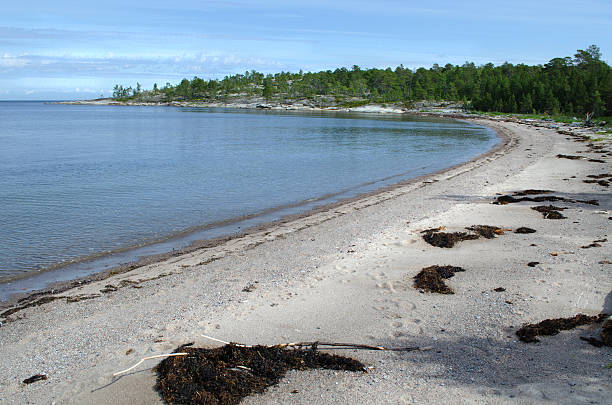 istock On the beach of  White sea 460231875