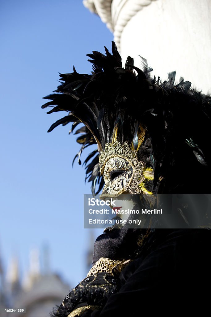 베니스 사육제 - 로열티 프리 Carnival 스톡 사진