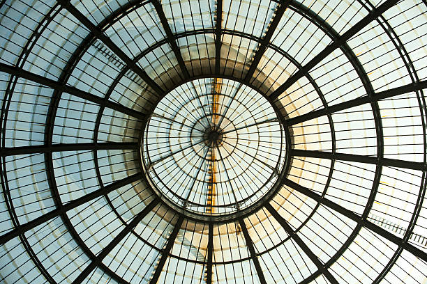 istock Gallery Vittorio Emanuele II in Milan 460245487