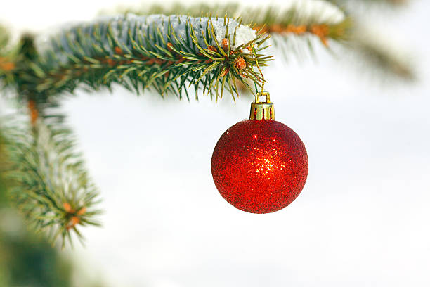istock Red ball on the Christmas tree with snow 460246141