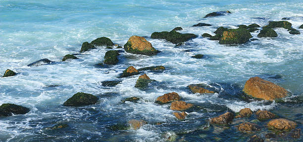 istock Seashore in Alexandria 460247715