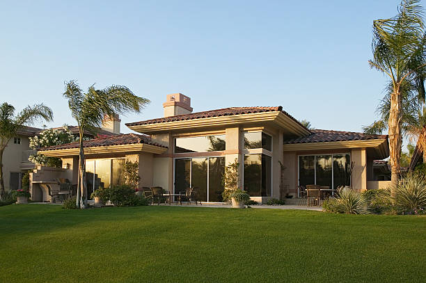 istock Backyard of House With Palm Trees 460249157