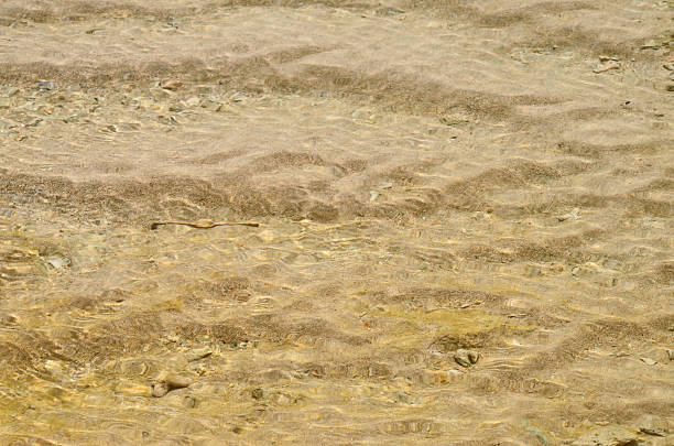 istock Surface of the sand at beach 460253621
