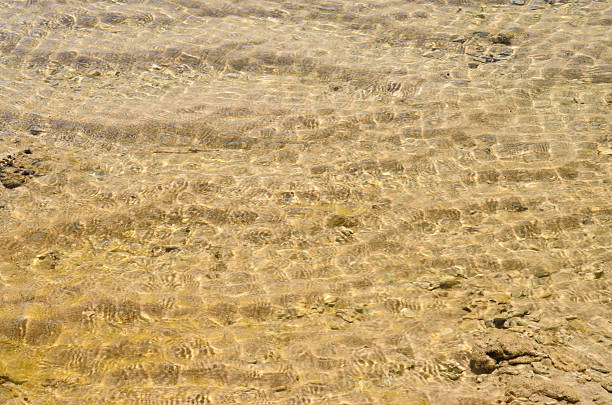 istock Surface of the sand at beach 460253687