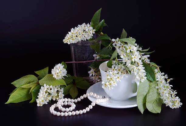 istock Still life with bird cherry blossoms and pearl necklace 460255383