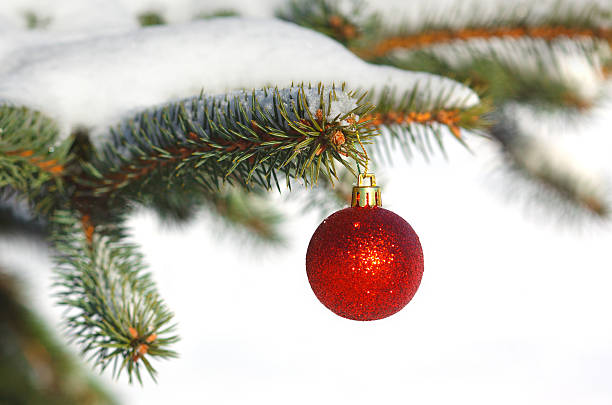 istock Red ball on the Christmas tree with snow 460256277