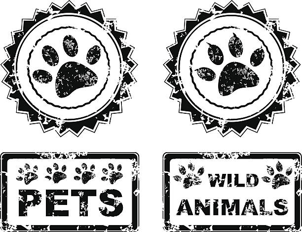 Animals Stamp Stock Illustration - Download Image Now - Rubber Stamp, Paw  Print, Paw - iStock