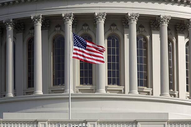 istock Capital Dome and Flag Washington DC 460264197