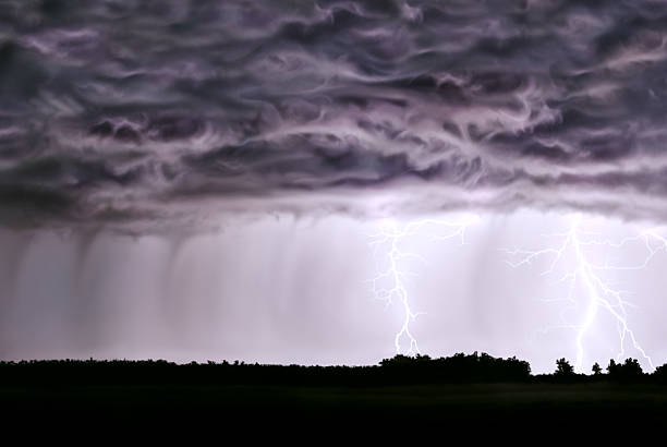 istock Night thunderstorm,rain,lightning,in field of the forest. 460268671