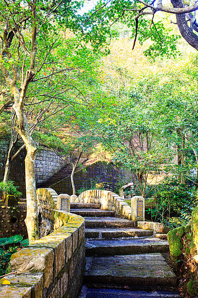 the fall season of Japan in Taiwan