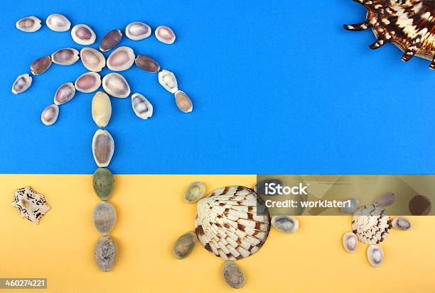 Immagine Di Conchiglie Su Una Spiaggia Tropicale Con Palme Sole Tartarughe - Fotografie stock e altre immagini di Acqua