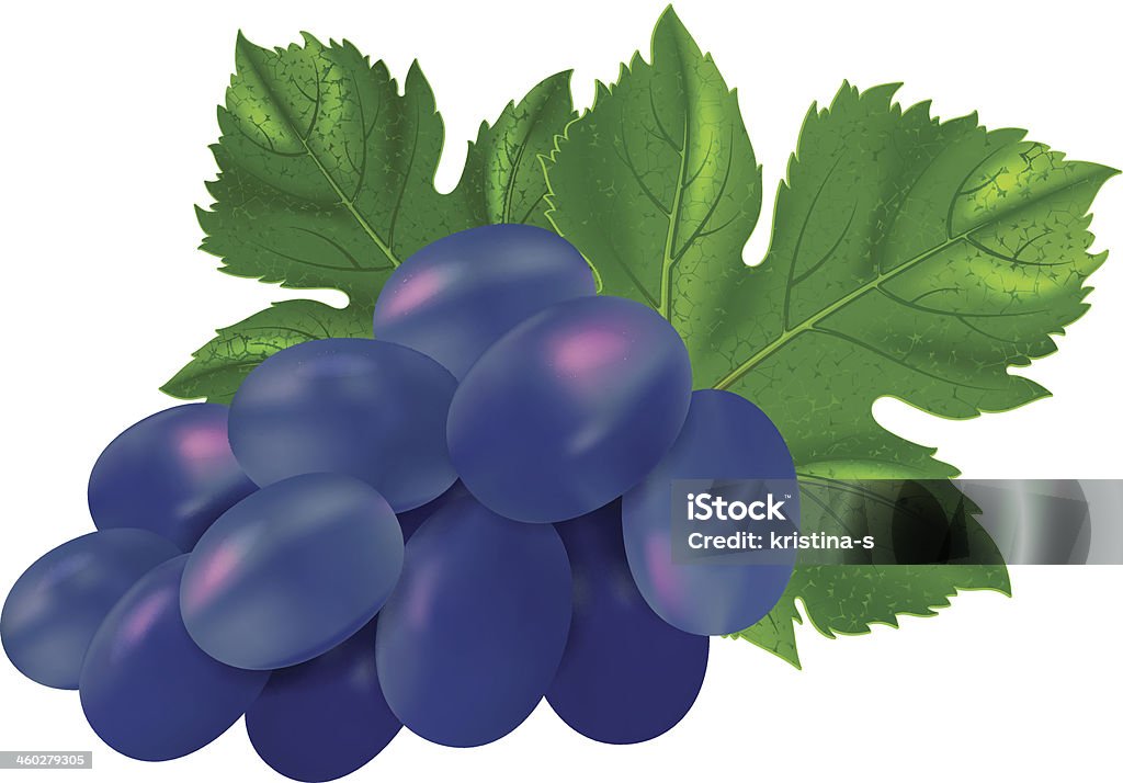 Czarny winogron - Grafika wektorowa royalty-free (Bez ludzi)