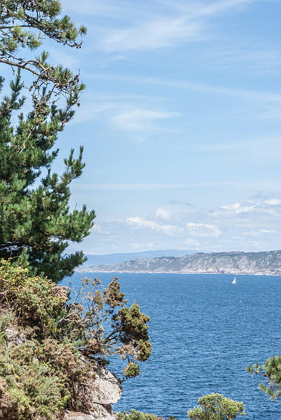 istock Coast of Galicia 2 460285321