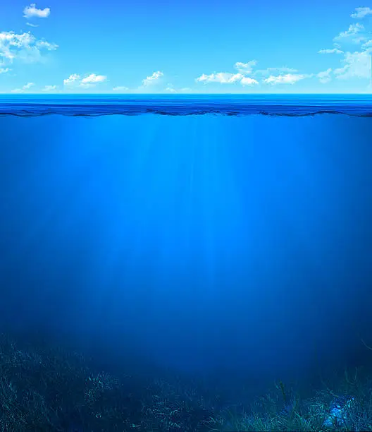 Photo of underwater landscape