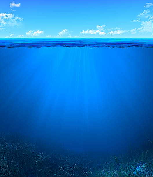 paisagem subaquática - bottom sea imagens e fotografias de stock