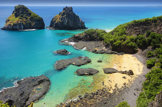 istock Tropical beach with a coral reef 460298119