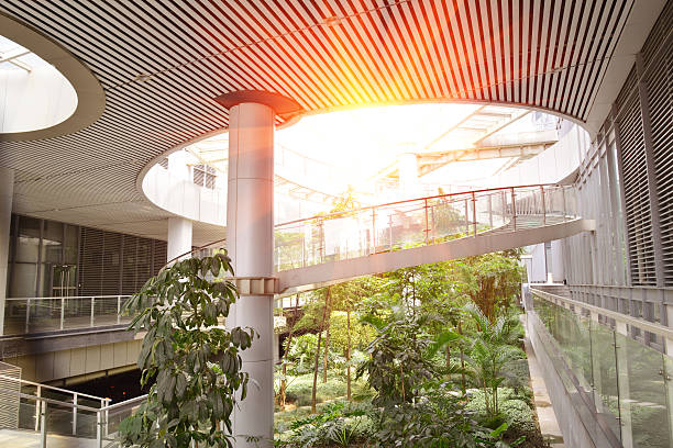 istock Modern office building with flourish green garden. 460333699