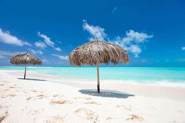 istock Beautiful Caribbean beach 460336279