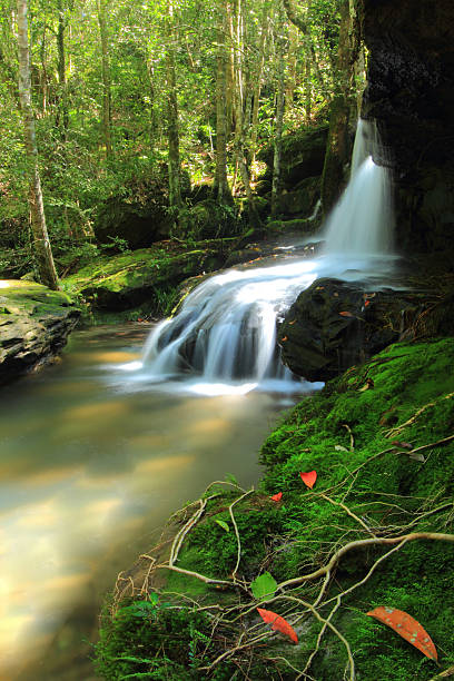 wasserfall - natural phenomenon waterfall rock tranquil scene stock-fotos und bilder