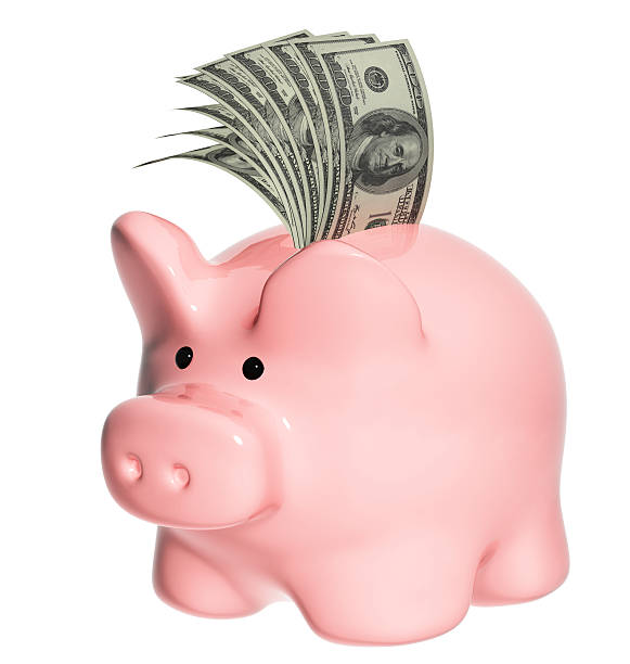 istock Piggy bank and dollar banknotes 460355853