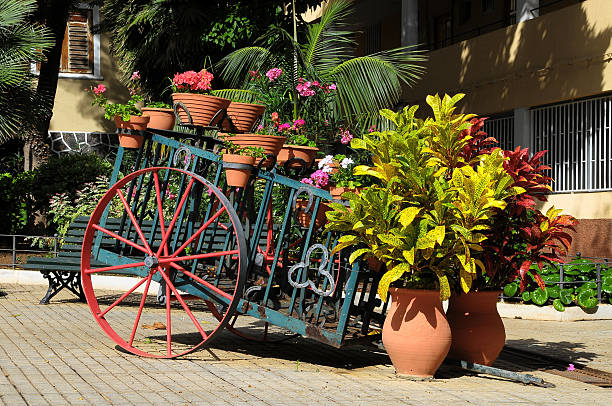 istock flower cart 460356753