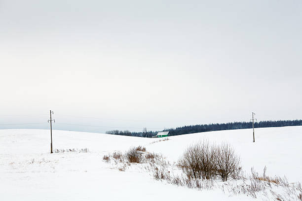 istock Village and power line in winter 460358749