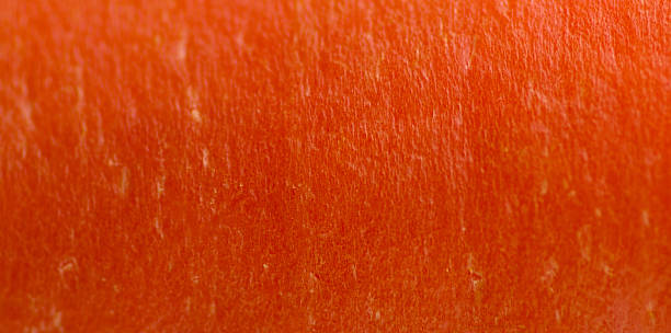 Macro of carrot peel texture