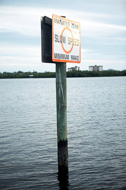 istock Manatee Protection Zone Sign in Waterway 460363859