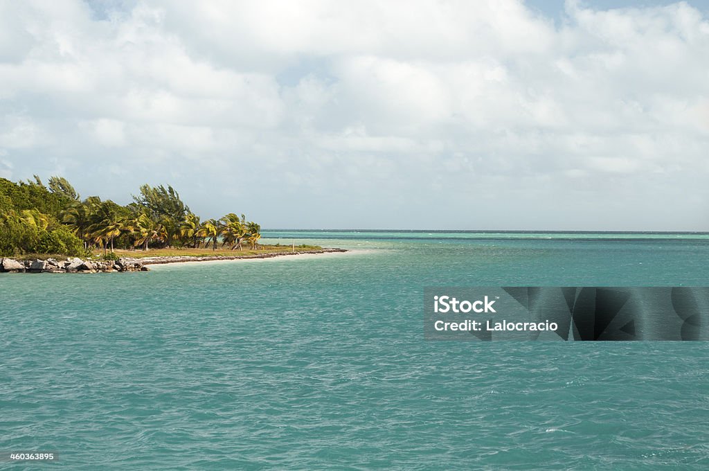 Cayo Guillermo - Foto de stock de Agua libre de derechos