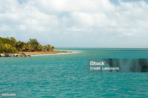 Cayo Guillermo Foto de stock y más banco de imágenes de Agua - Agua, Agua potable, Azul turquesa