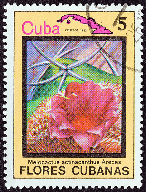 istock Cuban stamp shows Melocactus actinacanthus Areces (1983) 460365113